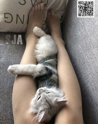 天堂岛一区_BD国语BD在线观看